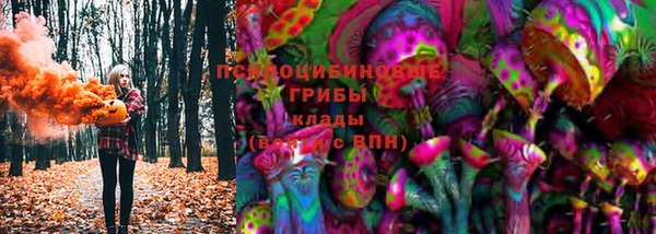 сатива Алексеевка
