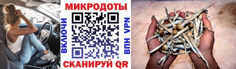 купить наркотики сайты Арск Галлюциногенные грибы прущие грибы
